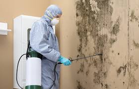 Tariffville, CT Mold Removal & Remediation Company